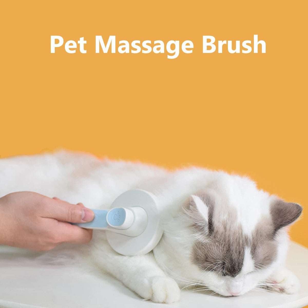 Cat Brush for Shedding-Cat Brushes for Indoor Cats Long Short Hair-Cat Grooming Brush for Massages Cat Comb Pet Brush