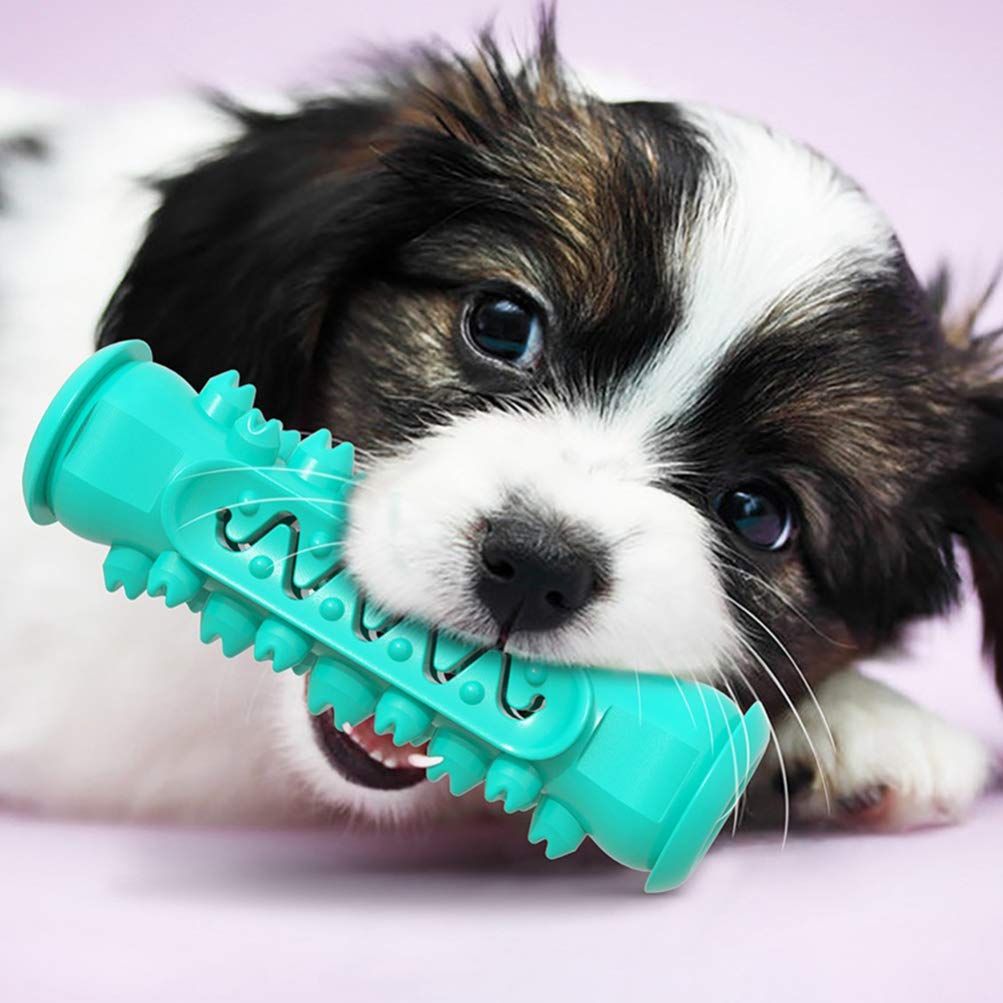 Toothbrush Chew Toy for Small Dogs