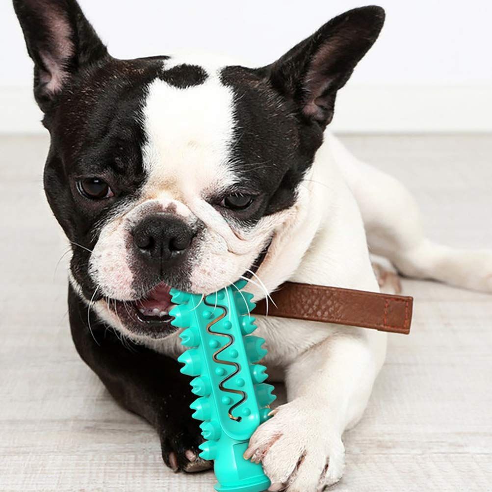 Toothbrush Chew Toy for Small Dogs