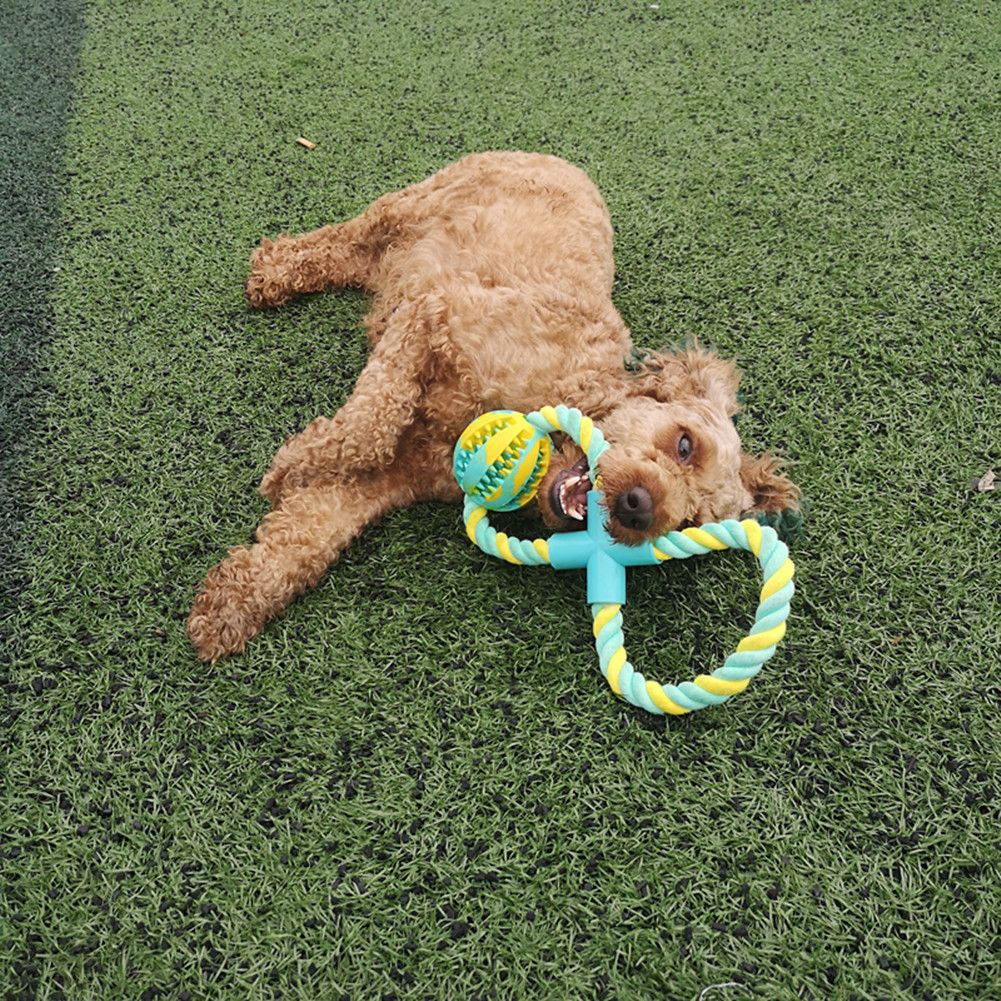 Adjustable Treat-Dispensing Rope and Ball Dog Toy