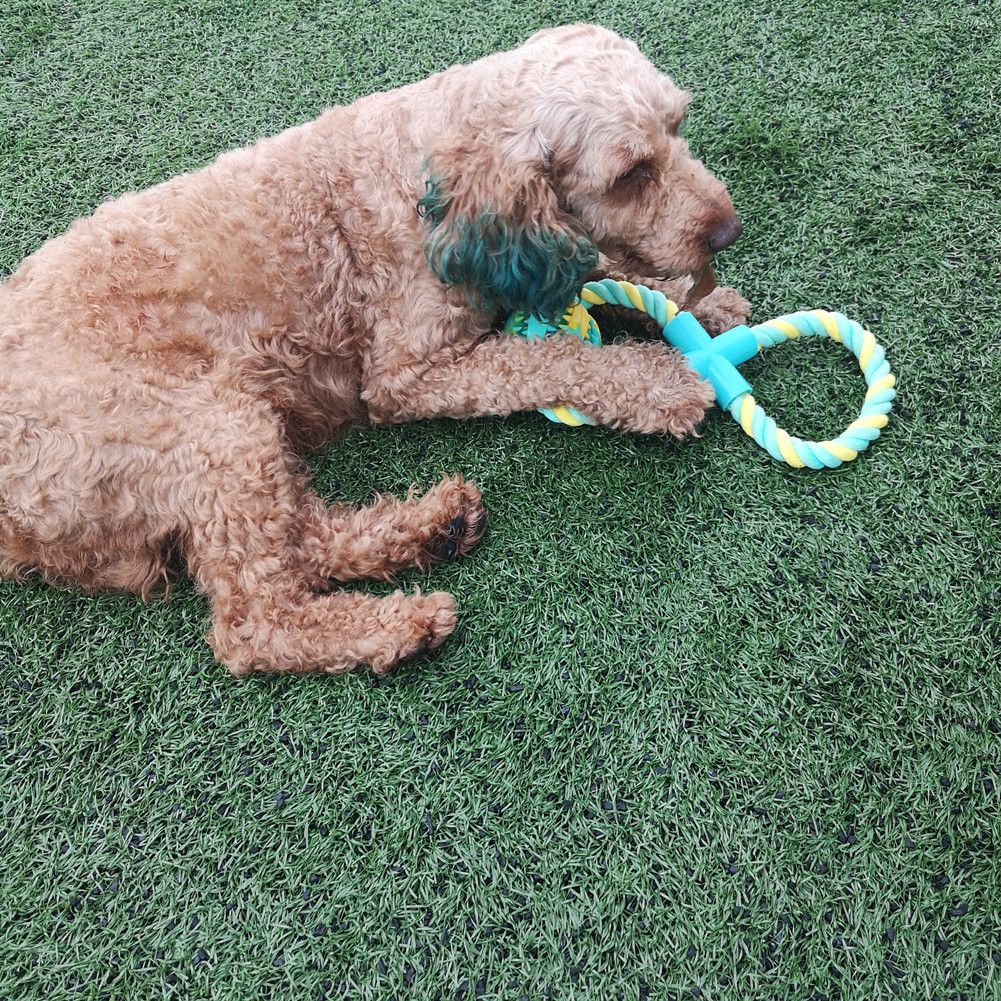 Adjustable Treat-Dispensing Rope and Ball Dog Toy