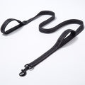Heavy-Duty Double-Handle Dog Leash – 2m