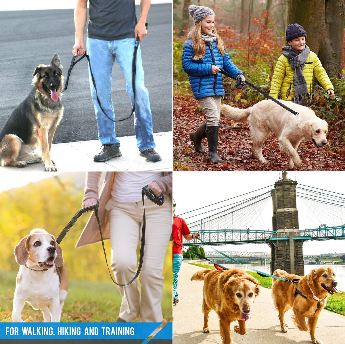 Heavy-Duty Double-Handle Dog Leash – 2m