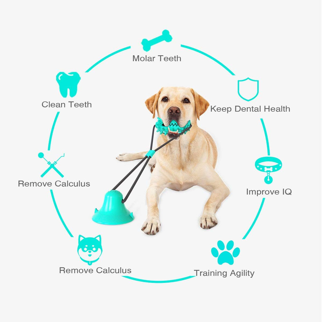 Suction-Cup Rope and Treat-Dispensing Dog Toy