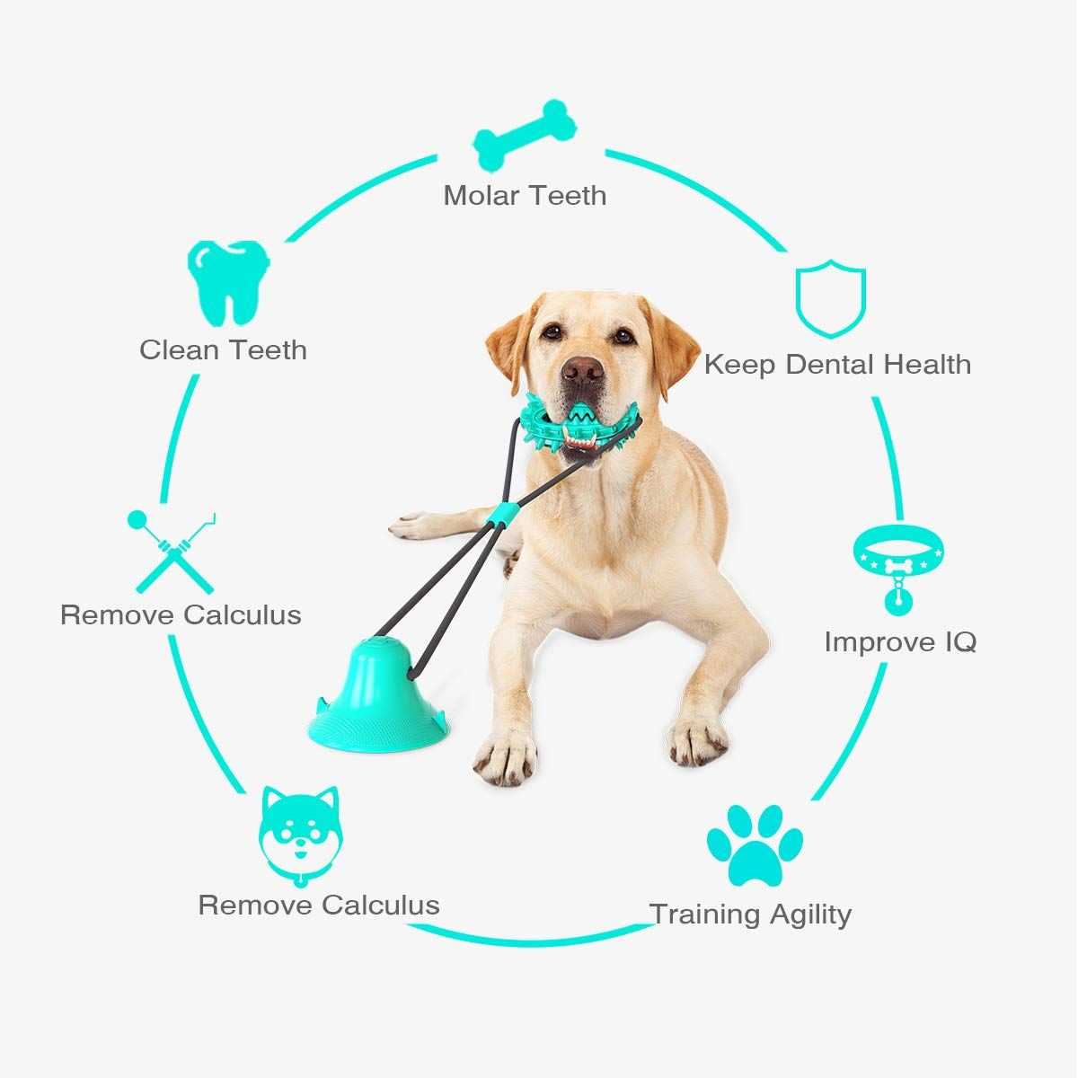 Suction-Cup Rope and Treat-Dispensing Dog Toy