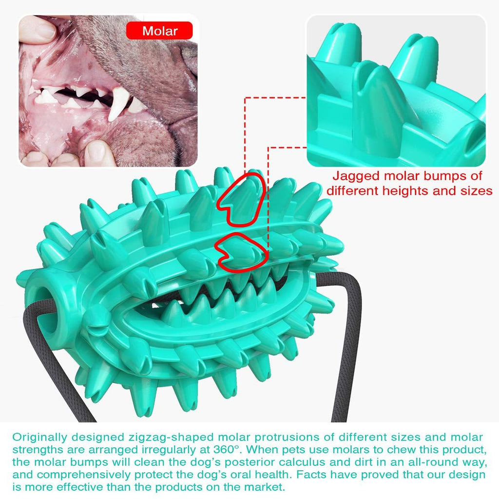 Suction-Cup Rope and Treat-Dispensing Dog Toy