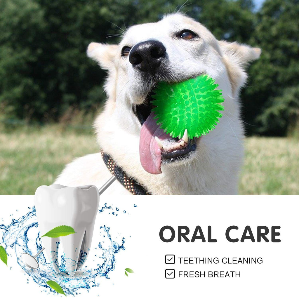 Colourful Squeaky Dog Balls – 3 Pack