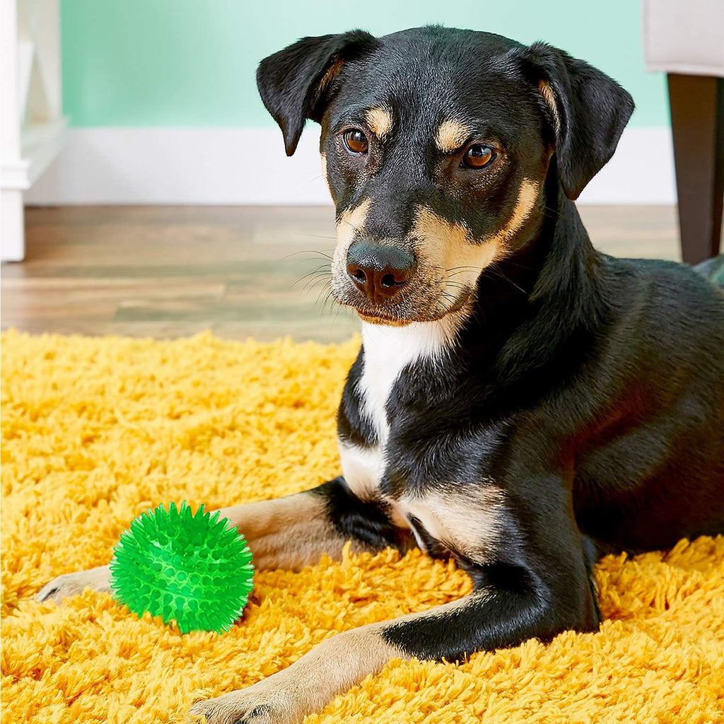 Colourful Squeaky Dog Balls – 3 Pack