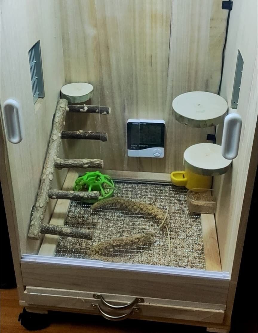Natural Wooden Bird Ladder and Perch