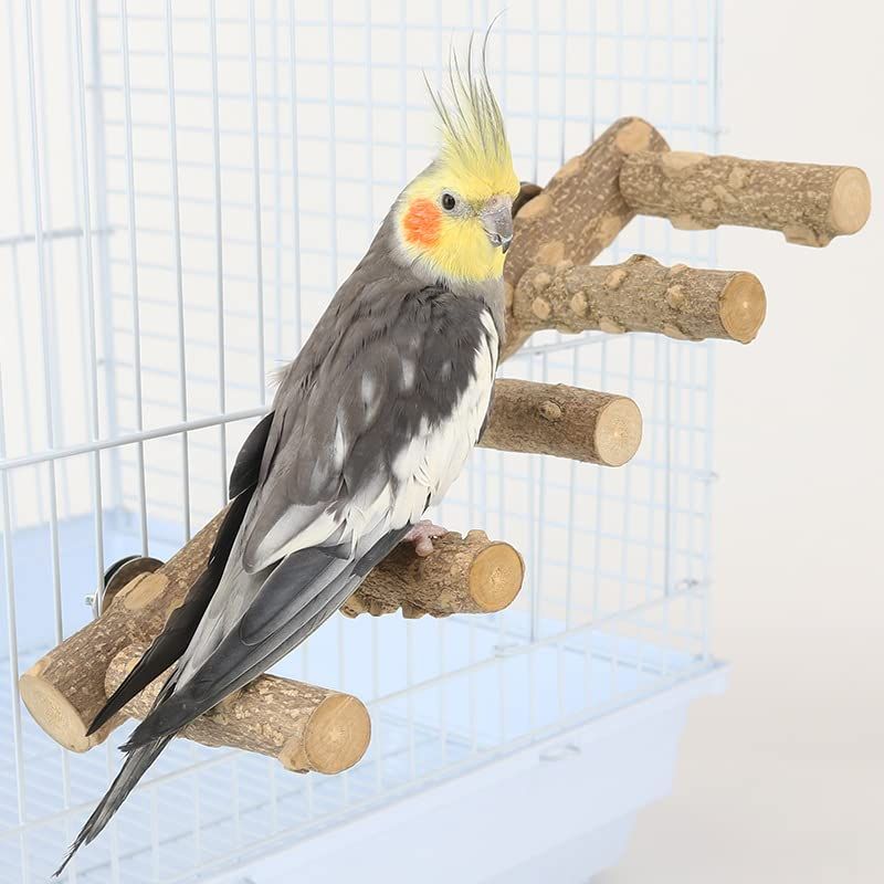 Natural Wooden Bird Ladder and Perch