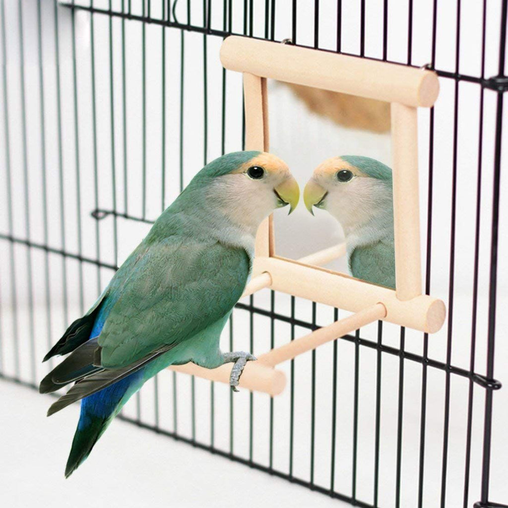 Wooden Bird Swing with Mirror
