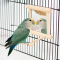 Wooden Bird Swing with Mirror