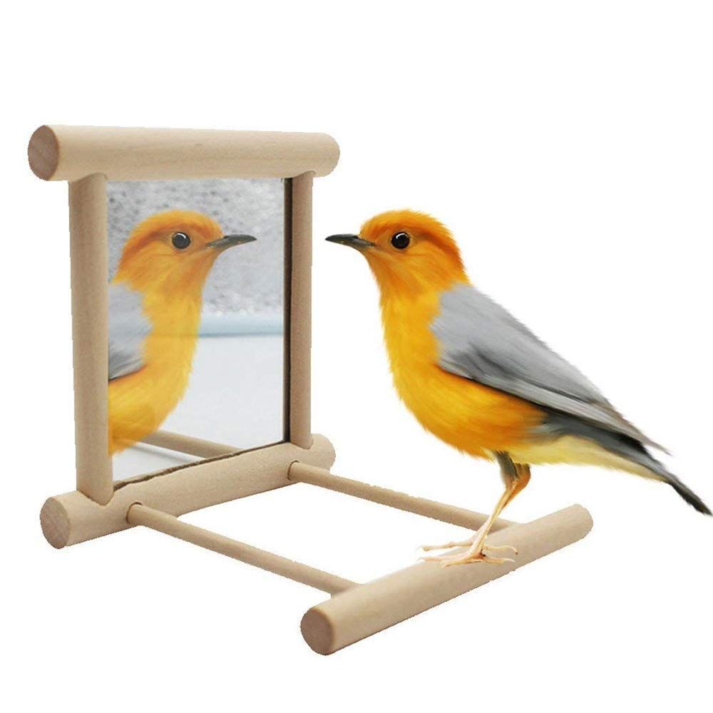 Wooden Bird Swing with Mirror