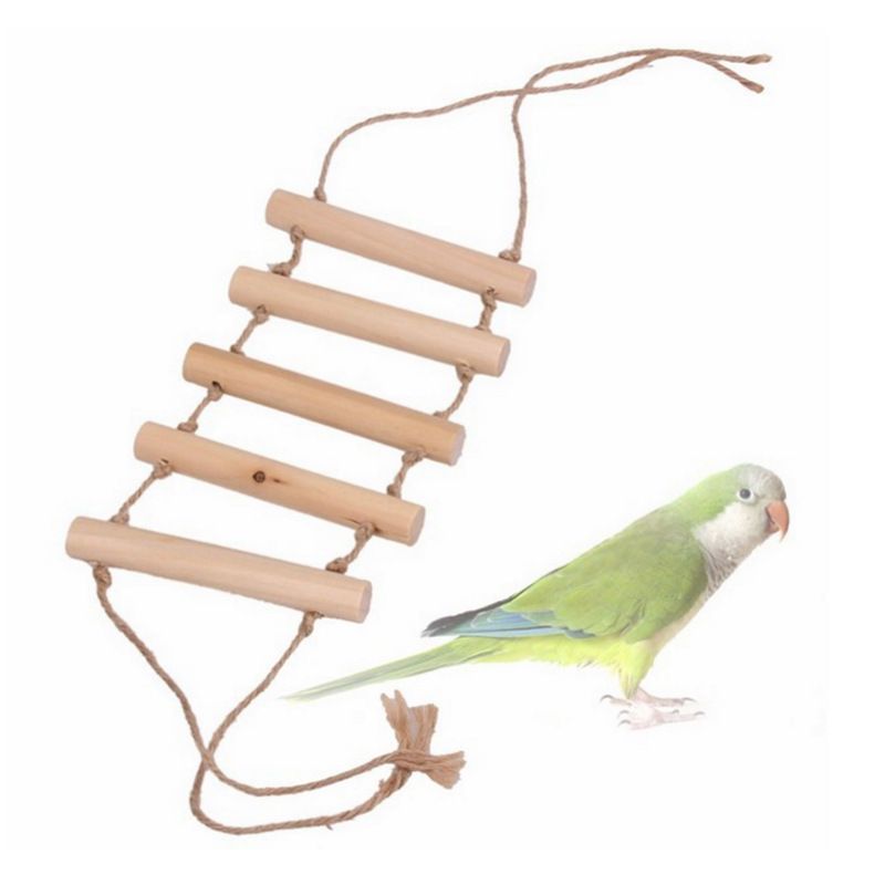 Rope Climbing Swing and Perch for Parrots