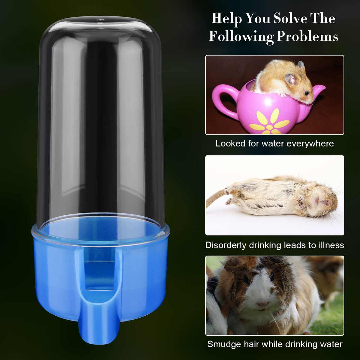 Automatic Bird Feeders and Water Dispensers – 4 Pack