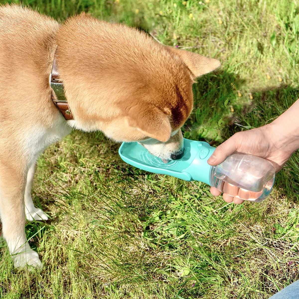 Portable Dog Water Bottle, Leak Proof, Handheld & Lightweight Puppy Water Dispenser with Drinking Feeder Bowl for Pets(Blue)