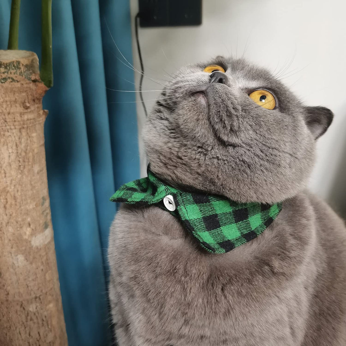 Lapel Cat Collar Breakaway with Bell, Plaid Turndown Collar Cat Collar for Kittens Adjustable 9-11in (2pcs Green&Light Blue)
