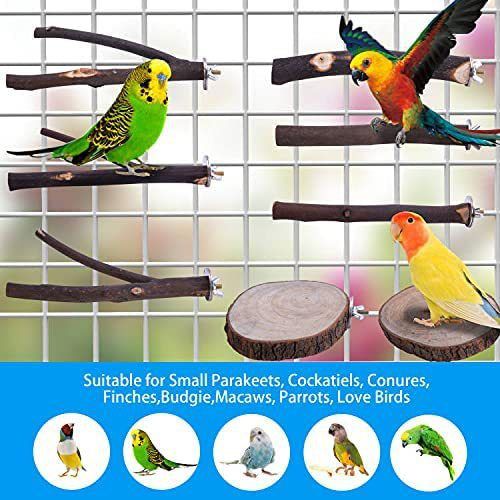 Natural Wooden Parrot Perch and Play Stand