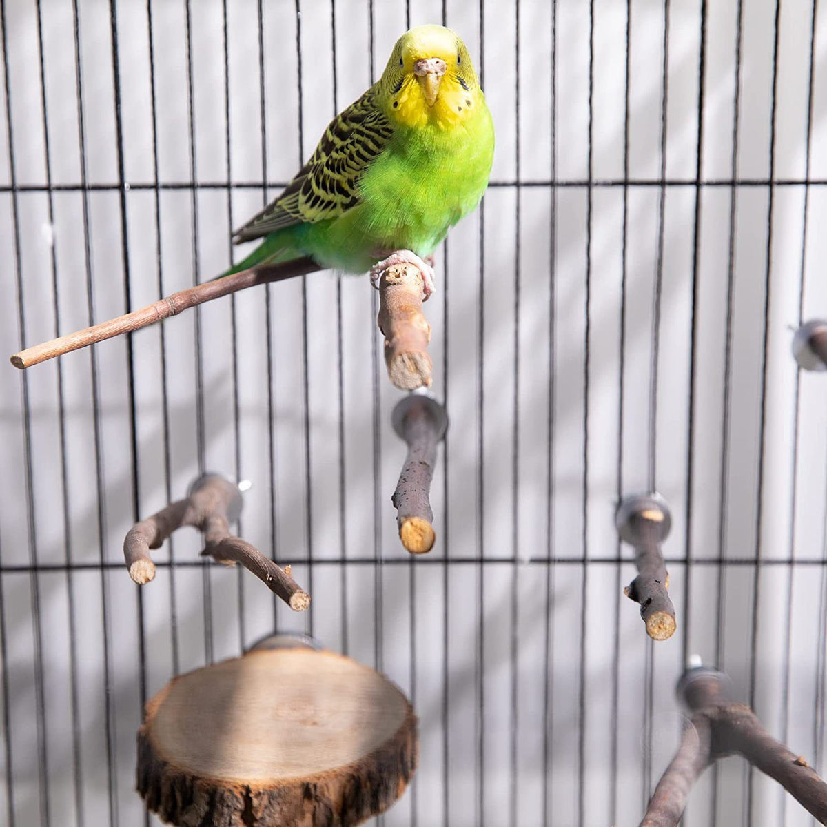 Natural Wooden Parrot Perch and Play Stand