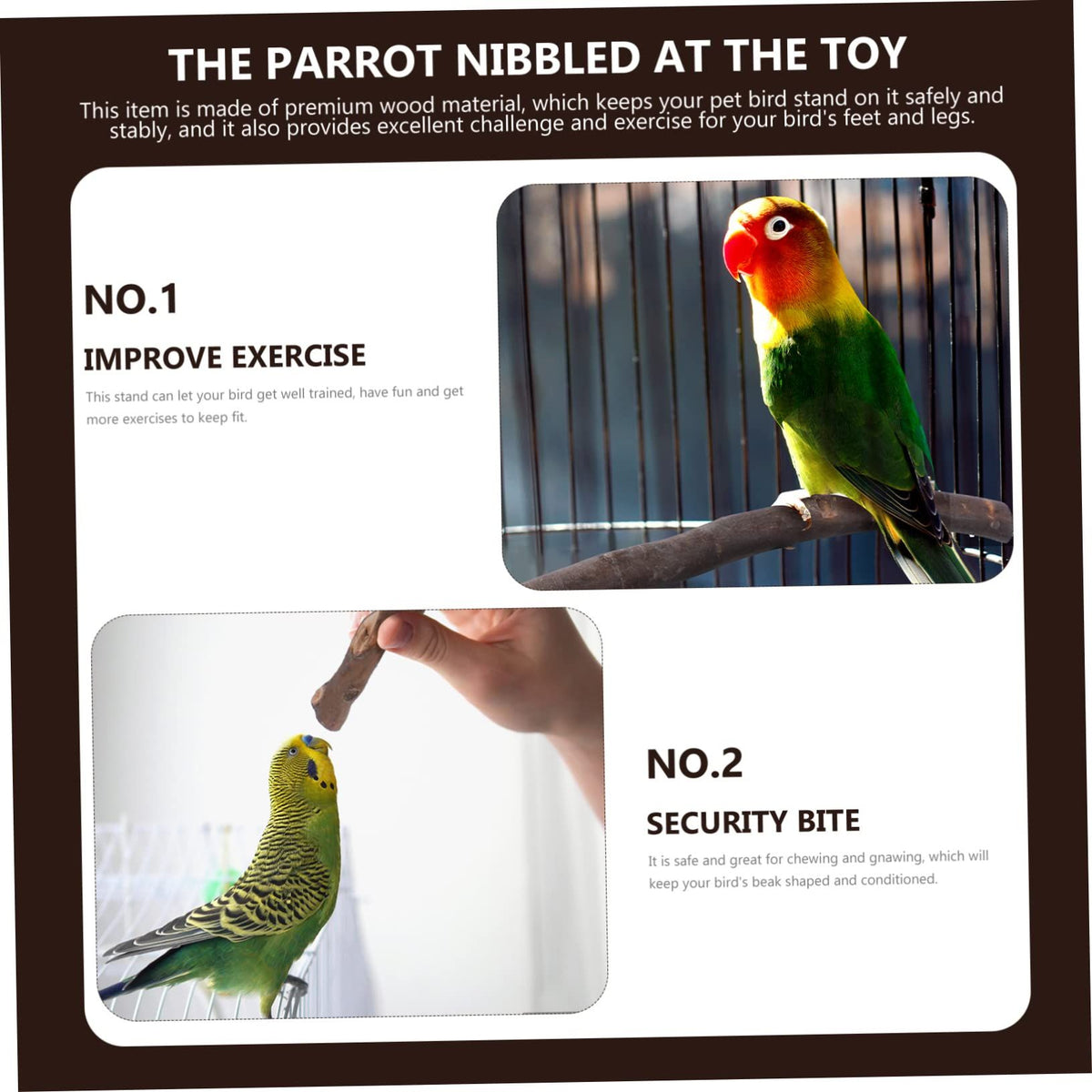 Natural Wooden Parrot Perch and Play Stand
