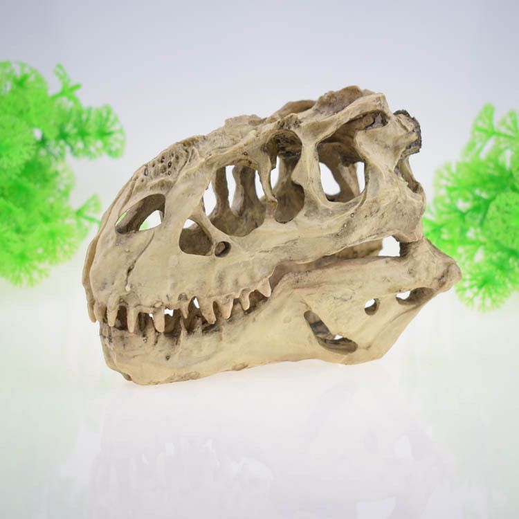 Skeleton Hole Resin Artificial Dinosaur Skull Skeleton Ornament - Fish Tank Small Skull Aquarium Decorations cave Landscape(2pcs)