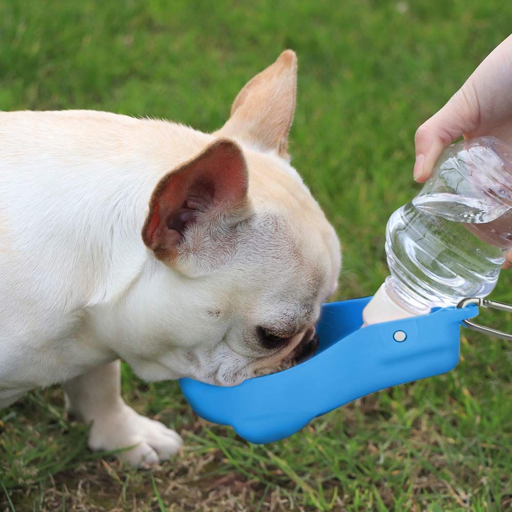 250ml Portable Dog Water Bottle – Blue