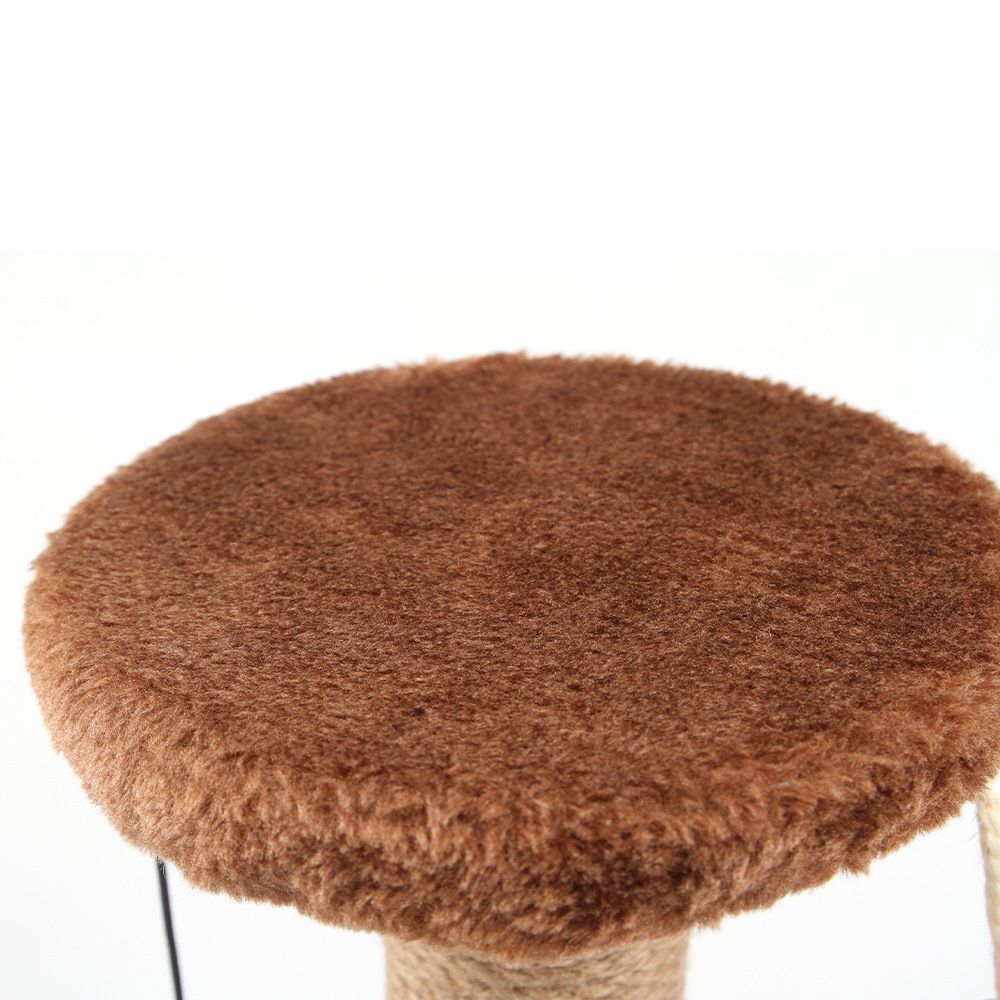 Cat Scratching Post and Activity Centre