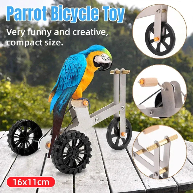 Parrot Training Bicycle Toy