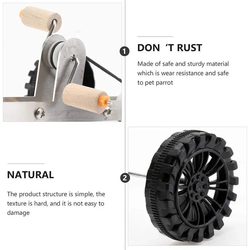 Parrot Training Bicycle Toy