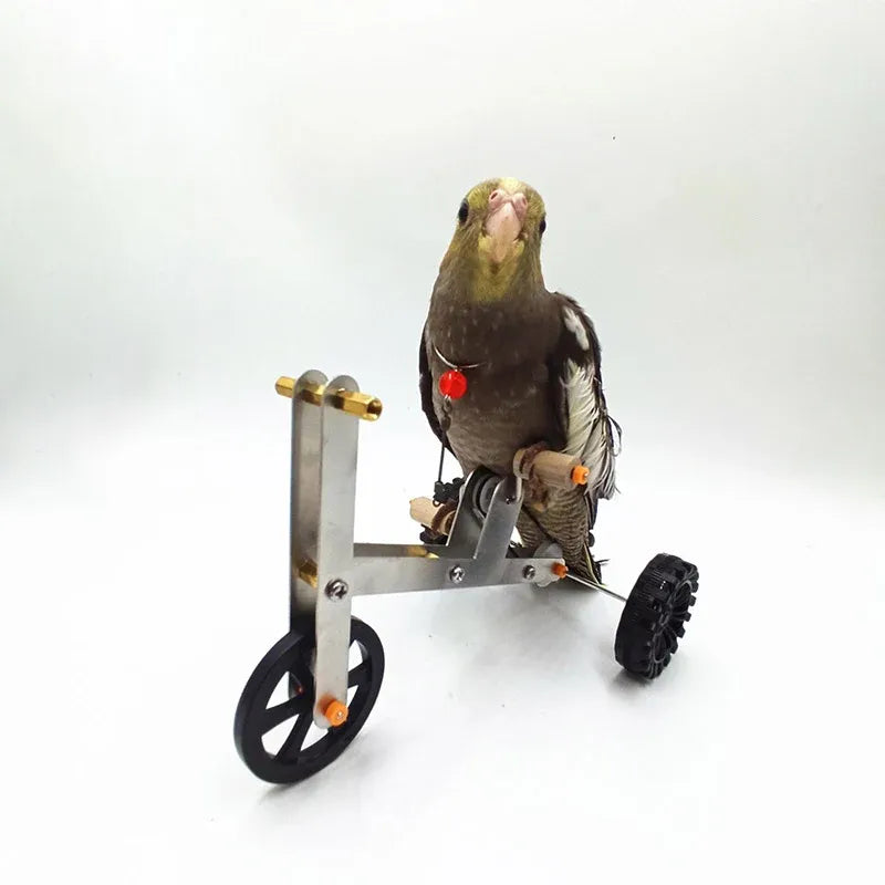 Parrot Training Bicycle Toy