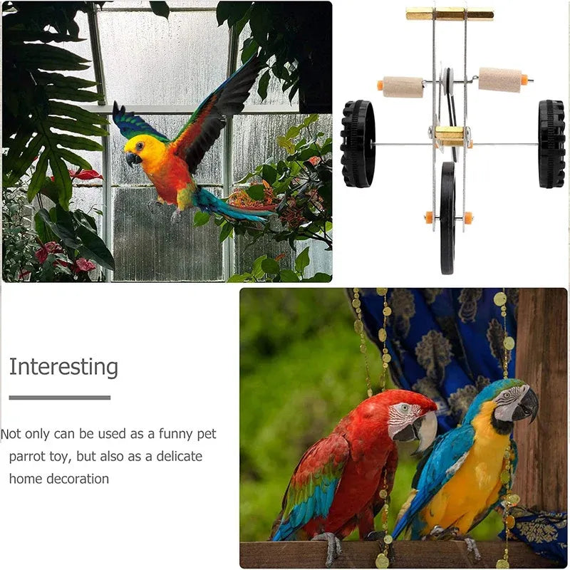 Parrot Training Bicycle Toy