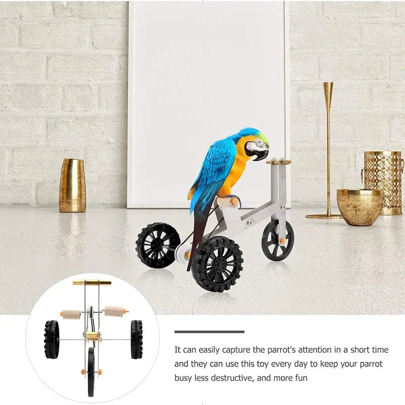 Parrot Training Bicycle Toy
