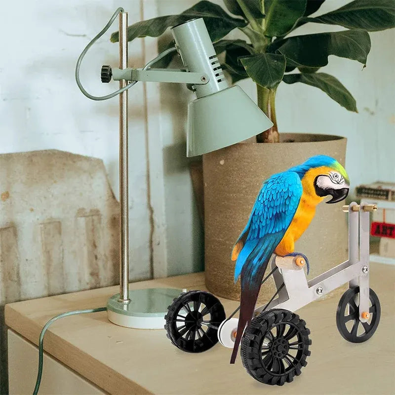 Parrot Training Bicycle Toy