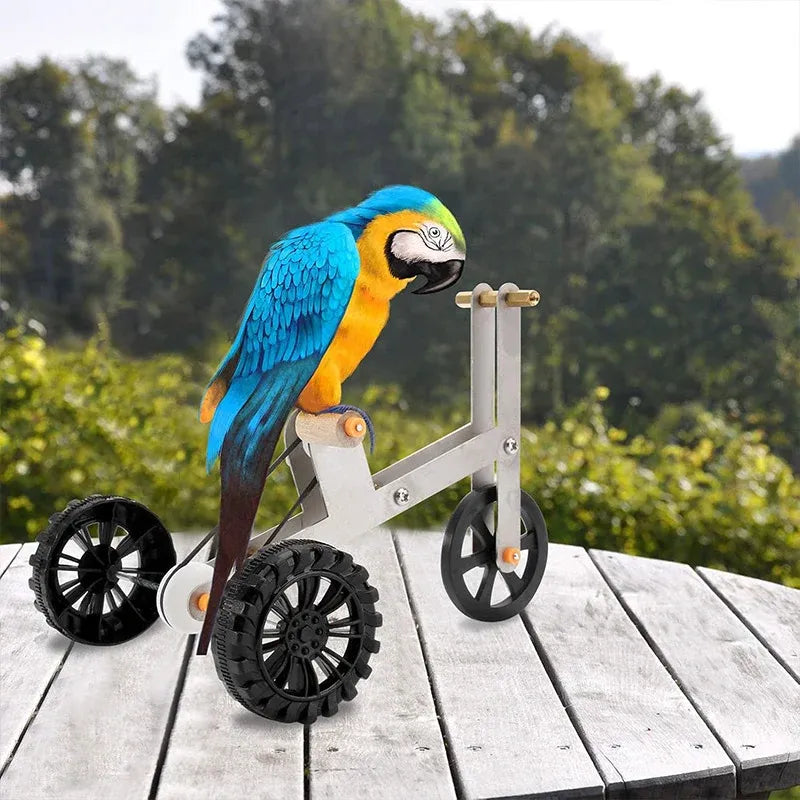 Parrot Training Bicycle Toy