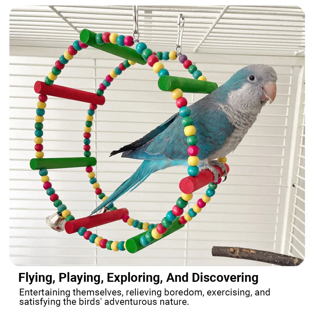 Colourful Parrot Swing and Perch Toy