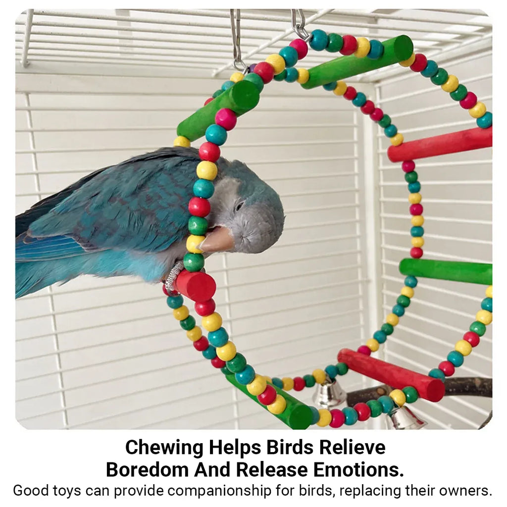 Colourful Parrot Swing and Perch Toy