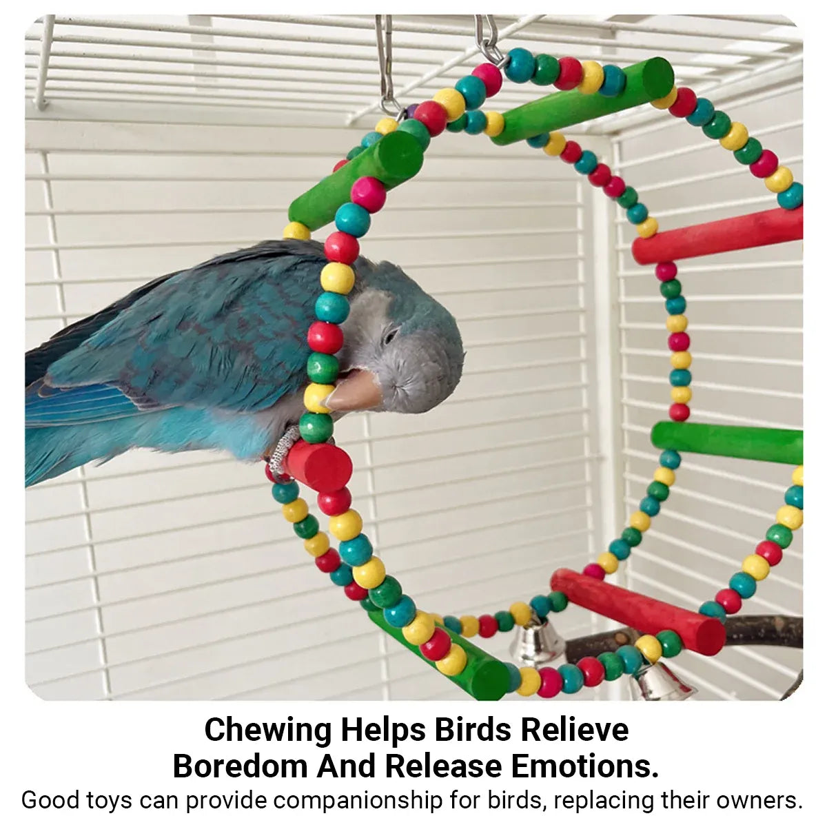 Colourful Parrot Swing and Perch Toy