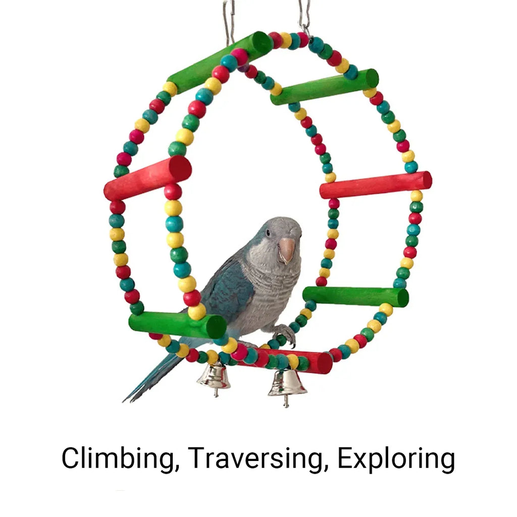 Colourful Parrot Swing and Perch Toy