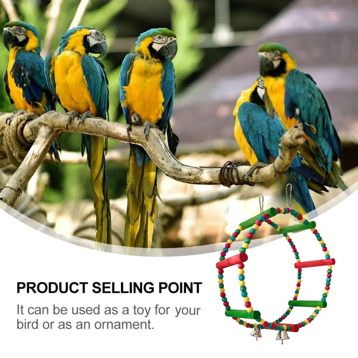 Colourful Parrot Swing and Perch Toy