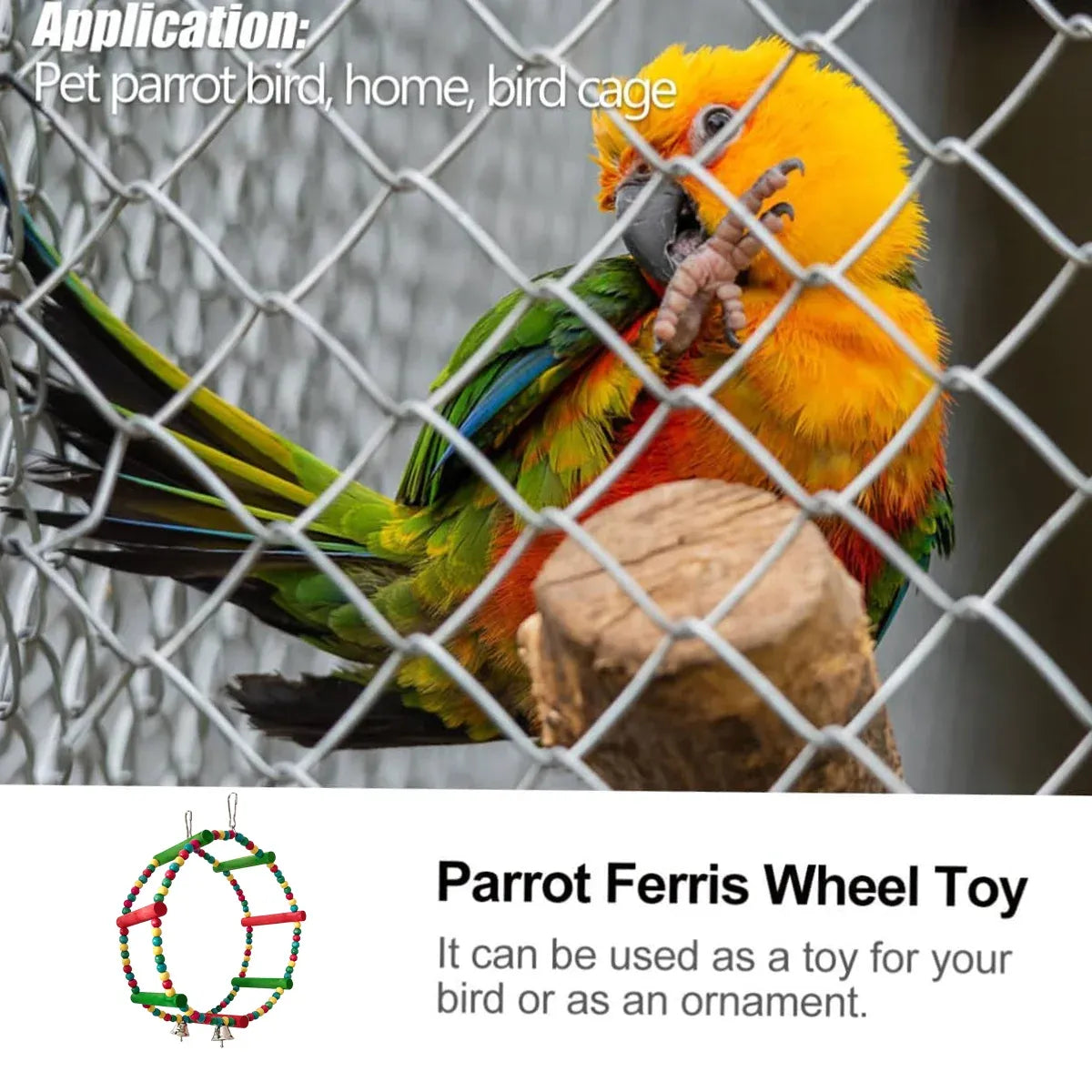 Colourful Parrot Swing and Perch Toy