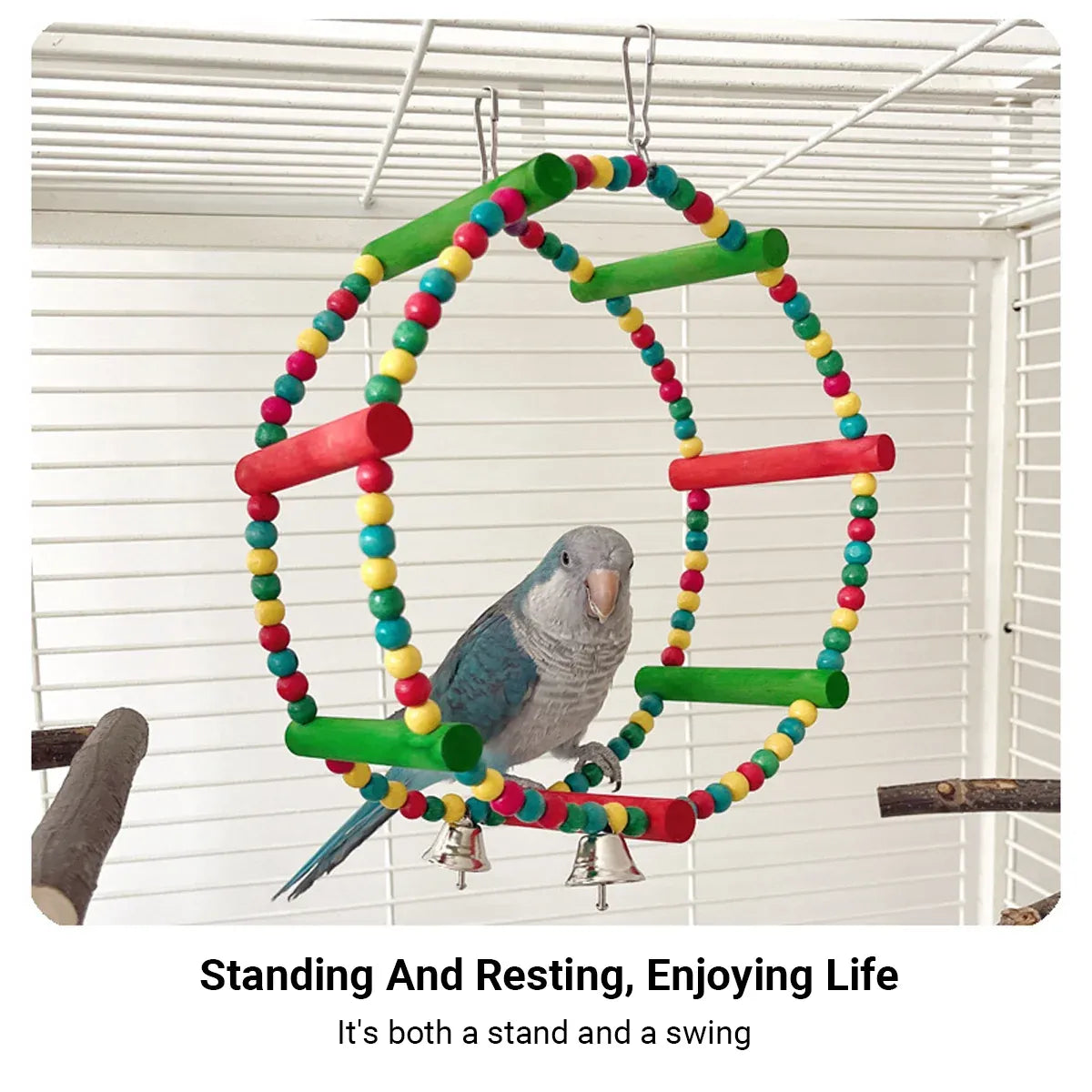 Colourful Parrot Swing and Perch Toy