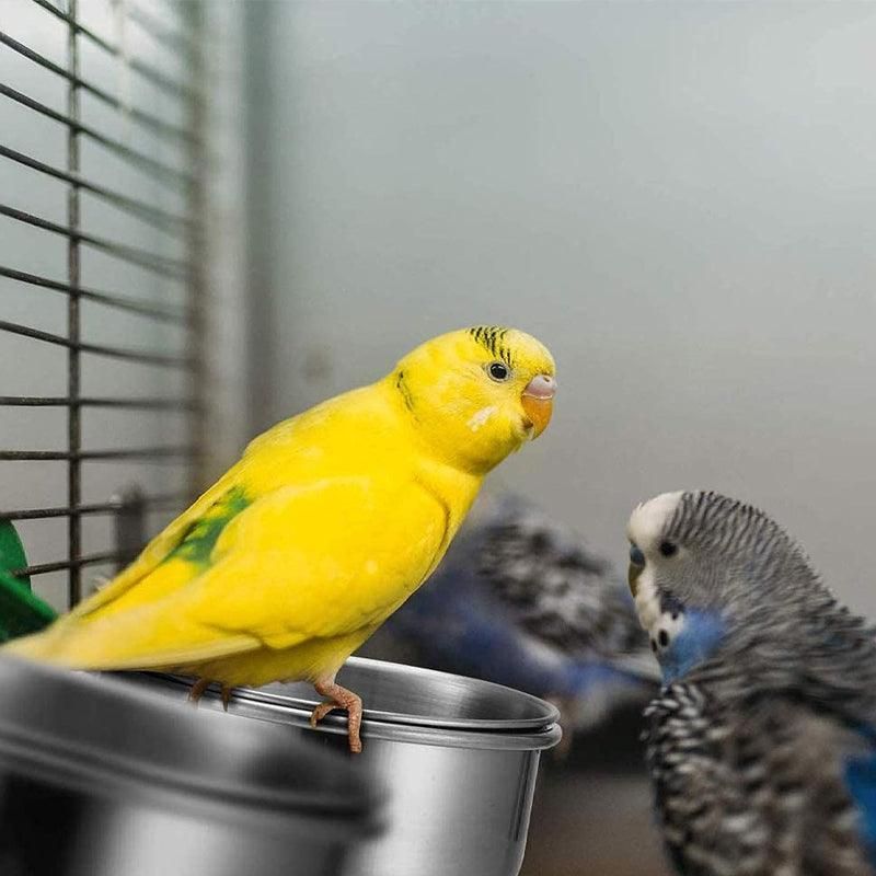 Stainless Steel Bird Feeding Bowls 4cm – 2 Pack