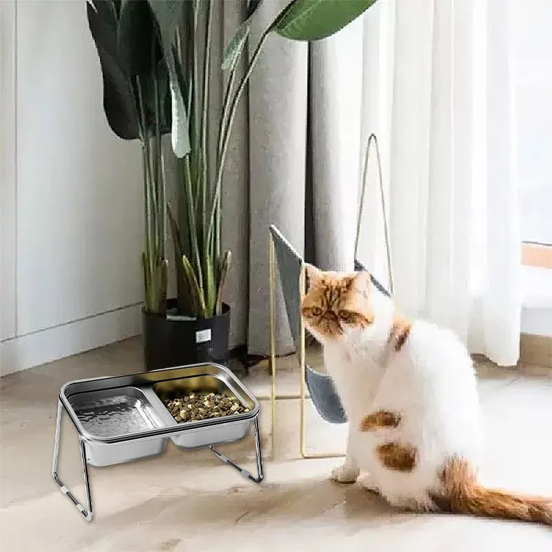 Double Tilted Stainless Steel Cat Bowl Set