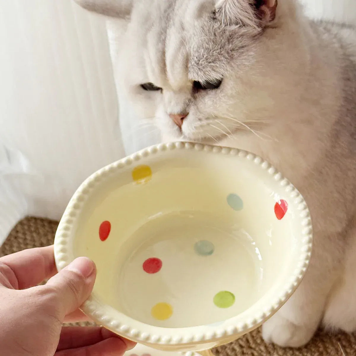 Ceramic Pet Food Bowl with Non-Slip Wooden Base
