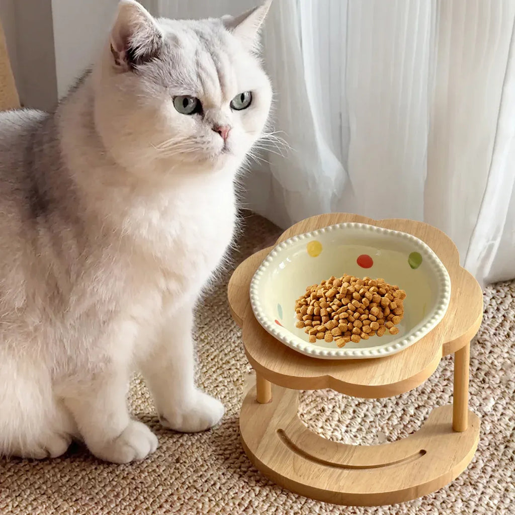 Ceramic Pet Food Bowl with Non-Slip Wooden Base
