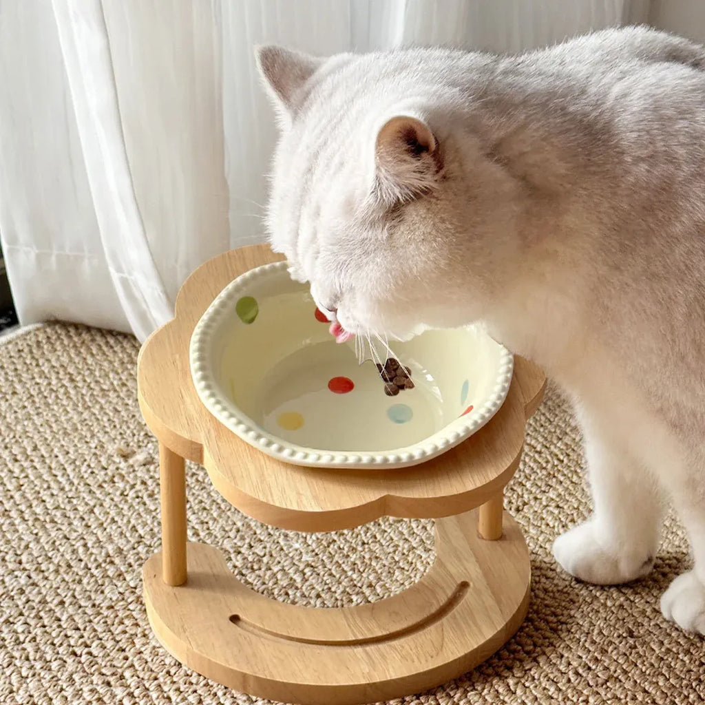 Ceramic Pet Food Bowl with Non-Slip Wooden Base