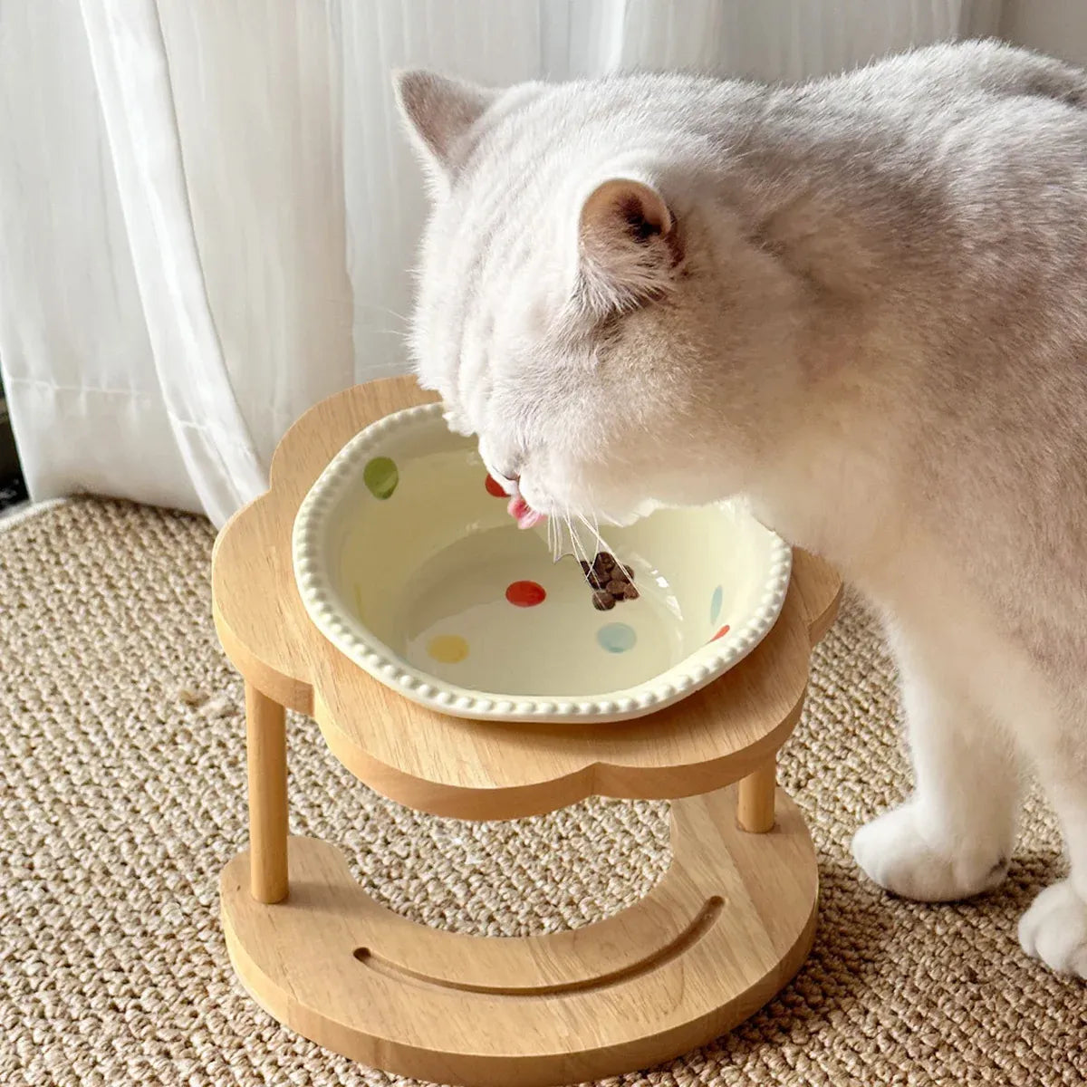 Ceramic Pet Food Bowl with Non-Slip Wooden Base