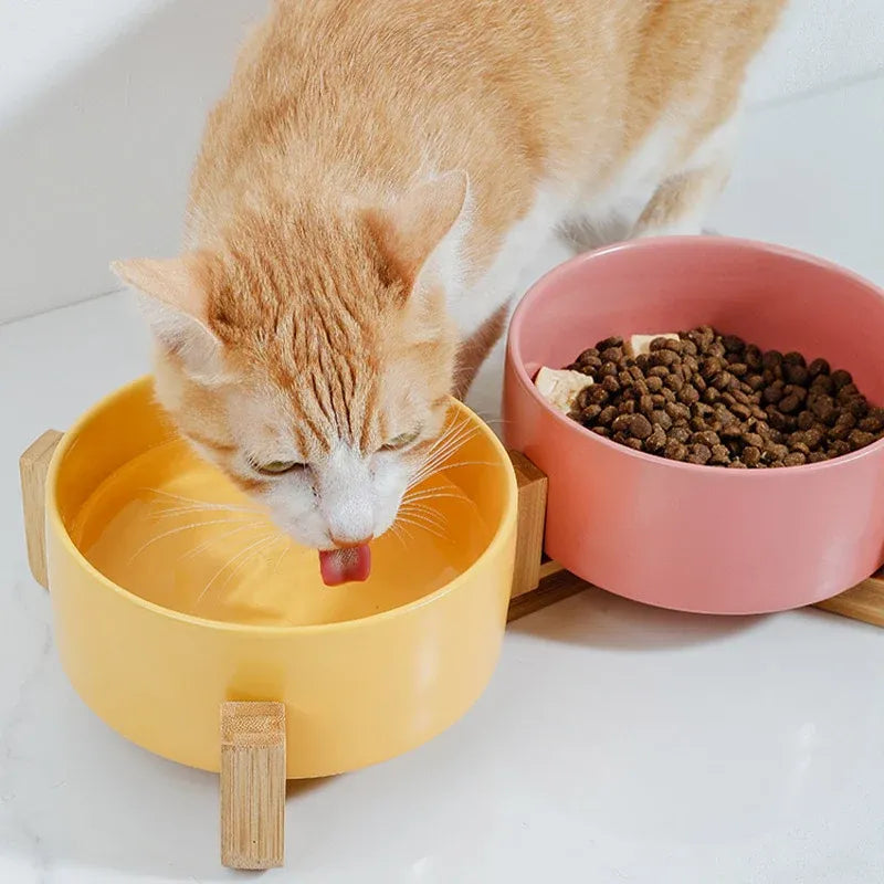 Double Ceramic Pet Bowl Set – White