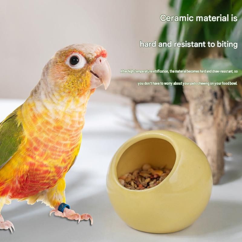 Anti-Splash Ceramic Bird Feeder Bowls – Pink, 2 Pack