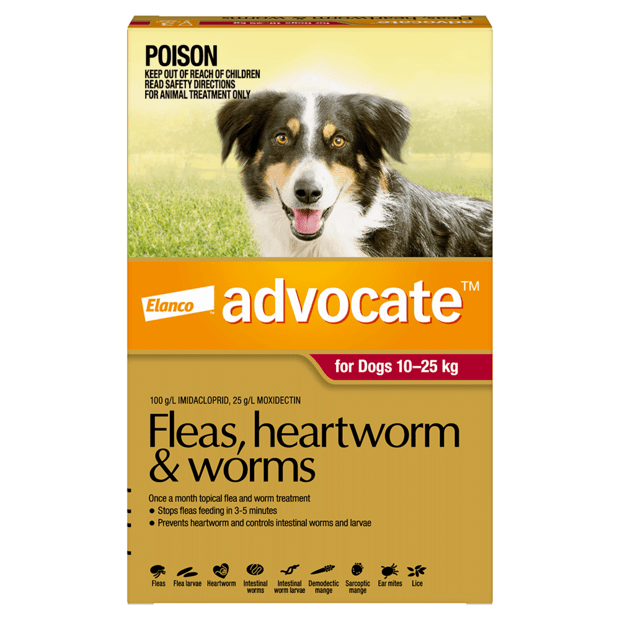 Advocate Fleas, Heartworm & Worms for Dogs 10kg–25kg (6 x 2.5ml Tubes)